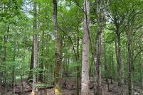 Farm and Ranch for sale in Claiborne County, Mississippi
