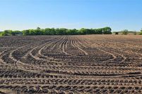 Undeveloped Land in Douglas County, Minnesota