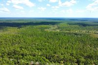Undeveloped Land for sale in Franklin County, Florida