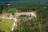 Undeveloped Land for sale in San Jacinto County, Texas