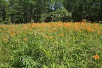 Timberland Property for sale in Lincoln County, Maine