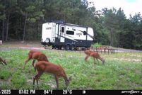Farm and Ranch for sale in Union Parish, Louisiana