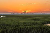 Land for sale in Camden County, Georgia