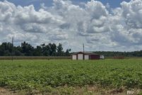 Farm and Ranch for sale in Escambia County, Alabama