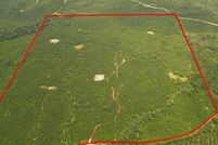 Undeveloped Land for sale in Butler County, Alabama