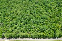 Land for sale in Butler County, Alabama