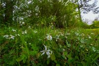 Recreational Property for sale in Newton County, Texas