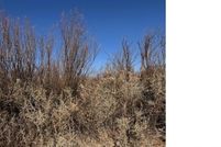 Recreational Property for sale in Presidio County, Texas