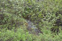 Farm and Ranch for sale in Flathead County, Montana