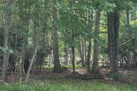 Land for sale in Grayson County, Virginia