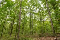 Land for sale in Wayne County, Missouri