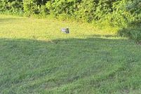 Farm and Ranch for sale in Prince William County, Virginia
