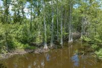Undeveloped Land for sale in Brooks County, Georgia
