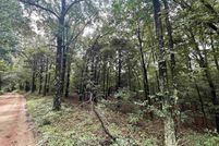 Undeveloped Land for sale in Clay County, Arkansas