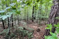 Homesite for sale in Tallapoosa County, Alabama