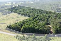 Undeveloped Land for sale in Cullman County, Alabama