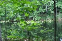 Land for sale in Kershaw County, South Carolina