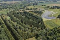 Timberland Property for sale in Stearns County, Minnesota