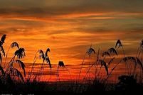 Timberland Property for sale in Indian River County, Florida