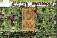 Land for sale in Polk County, Florida
