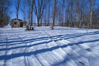 Timberland Property in Hendricks County, Indiana