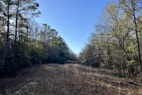 Undeveloped Land for sale in Dallas County, Alabama