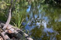 Land for sale in Dixie County, Florida