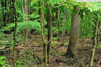 Land for sale in Watauga County, North Carolina