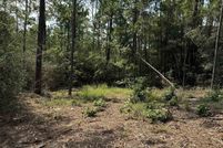 Land for sale in Jasper County, Texas