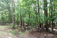 Undeveloped Land for sale in Cleburne County, Arkansas