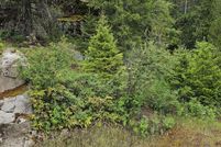 Lakefront Property for sale in Stevens County, Washington