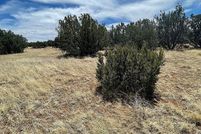 Land for sale in Apache County, Arizona