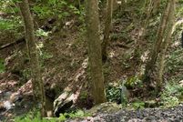 Undeveloped Land in Pickens County, Georgia