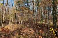 Farm and Ranch for sale in Bayfield County, Wisconsin