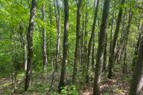 Timberland Property for sale in Bayfield County, Wisconsin