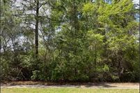 Timberland Property for sale in Camden County, Georgia