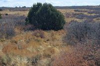 Land for sale in Dolores County, Colorado