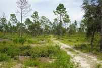 Land for sale in Levy County, Florida
