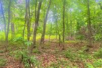 Land for sale in Sherburne County, Minnesota