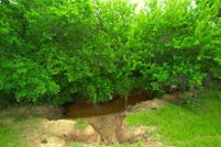 Land for sale in Montague County, Texas