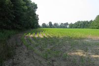 Timberland Property for sale in Clay County, Indiana