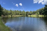 Land for sale in Barbour County, Alabama