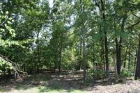 Undeveloped Land in Cass County, Texas