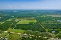Timberland Property for sale in Wilson County, Texas