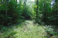 Land for sale in Luce County, Michigan