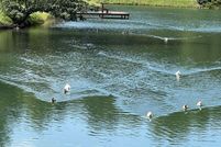 Land for sale in Saint Clair County, Alabama