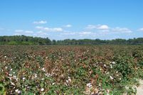 Farm and Ranch for sale in Orangeburg County, South Carolina