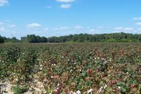 Undeveloped Land for sale in Orangeburg County, South Carolina