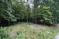 Land for sale in Wayne County, West Virginia