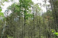 Land for sale in Cook County, Minnesota